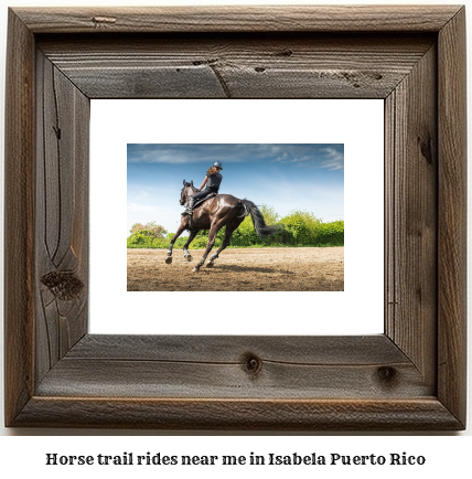 horse trail rides near me in Isabela, Puerto Rico